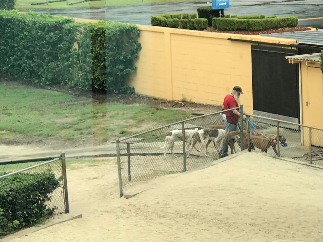 bestbet Orange Park-橙园必去景点
