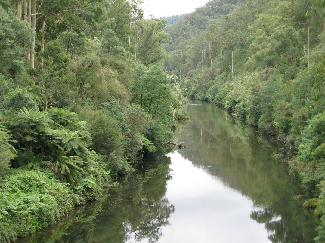 Bruntons Bridge-Walhalla必去景点