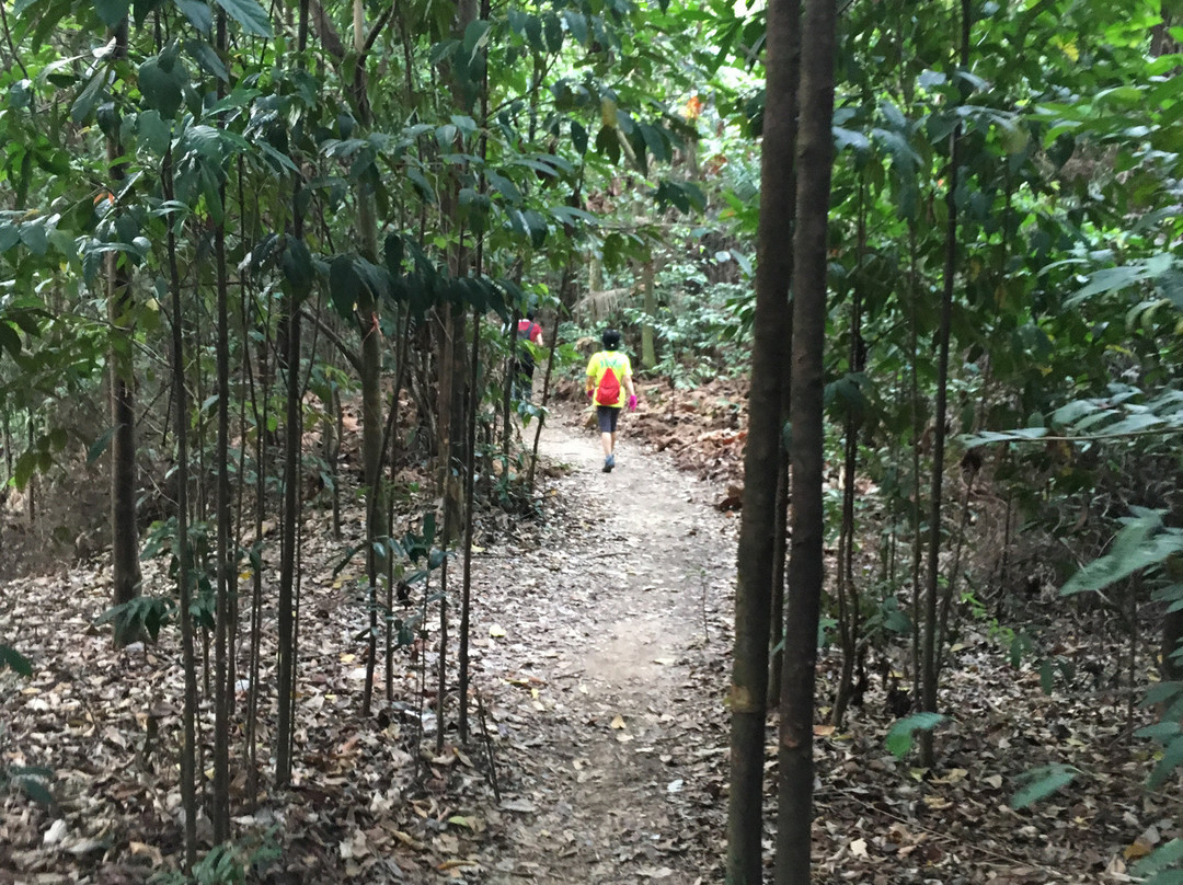 Bukit Sapu Tangan景点图片