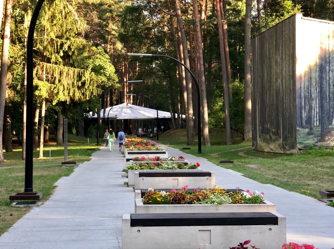 K.Dineika Wellness Park-德鲁斯基宁凯必去景点