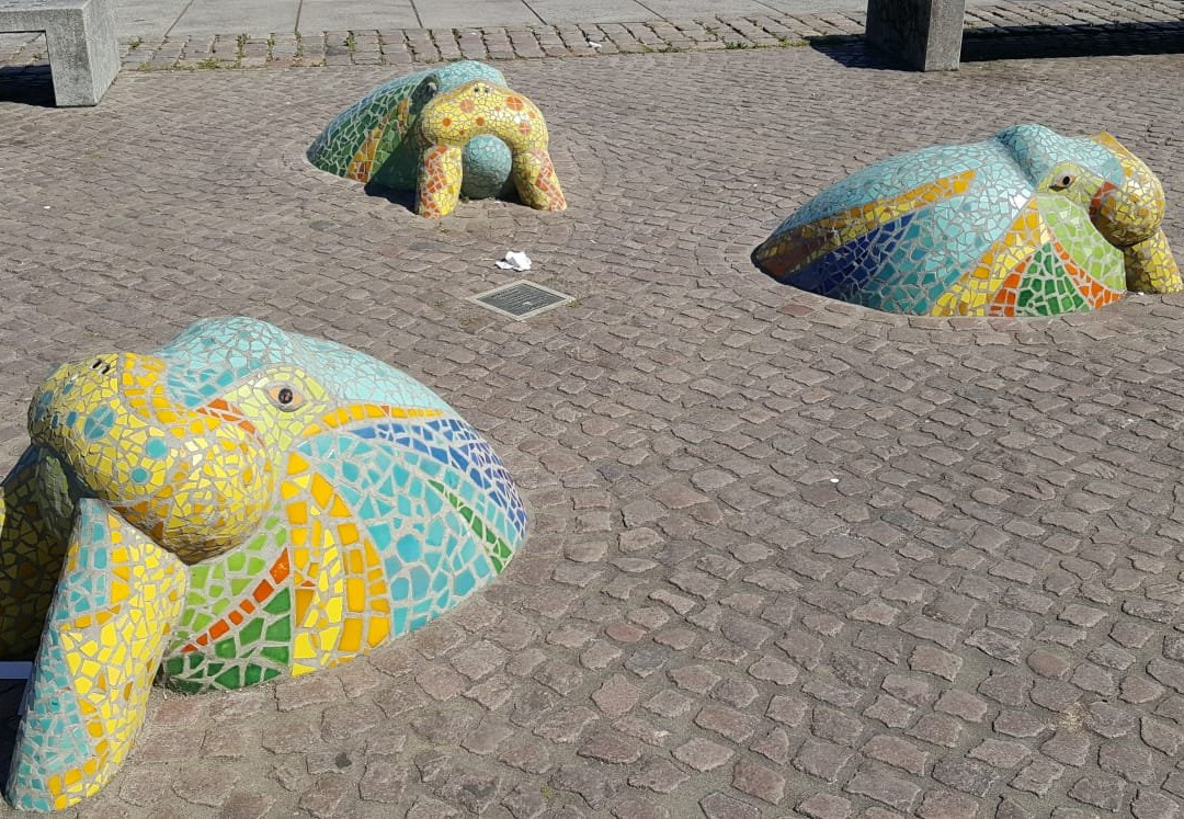 Walross auf Landgang-基尔必去景点