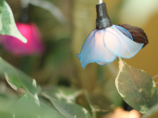 ReflexPoint (Thai massages)-维尔纽斯必去景点