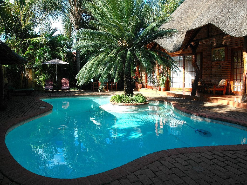 Trees Too Guest Lodge主图