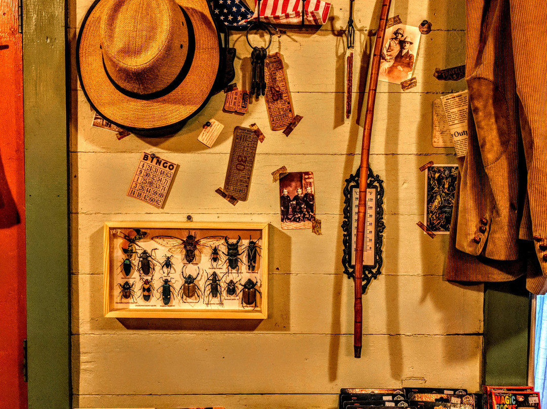 Discovery Outpost-Medicine Park必去景点