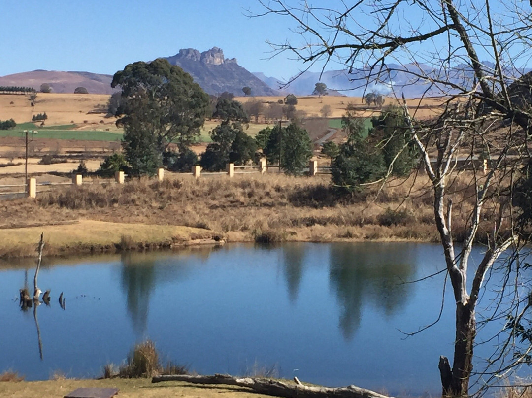 The Old Hatchery主图