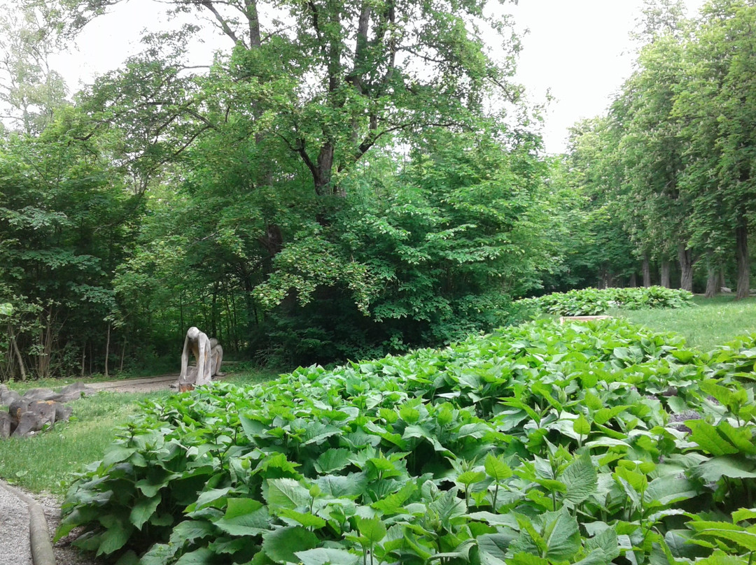Neckar-Quelle Villingen-Schwenningen景点图片