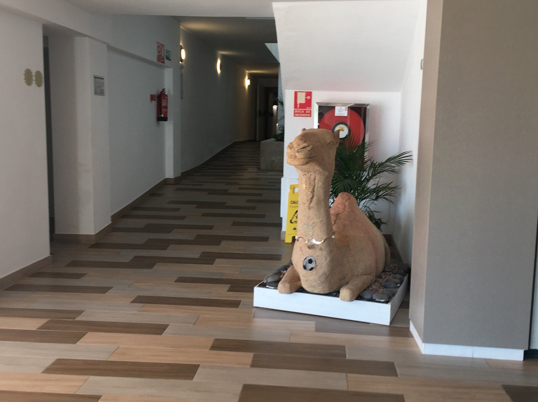 Apart Hotel Cactus Garden主图