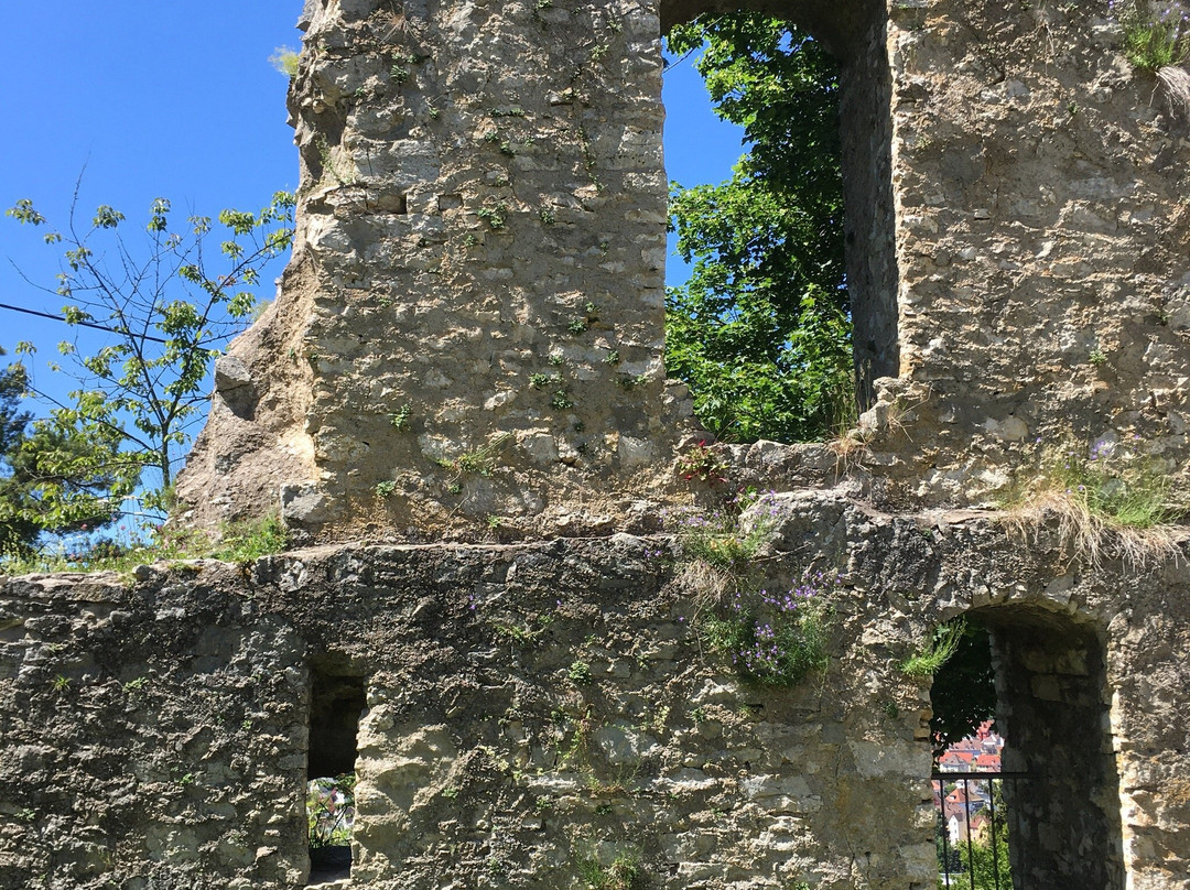 Burg Honberg-图特林根必去景点