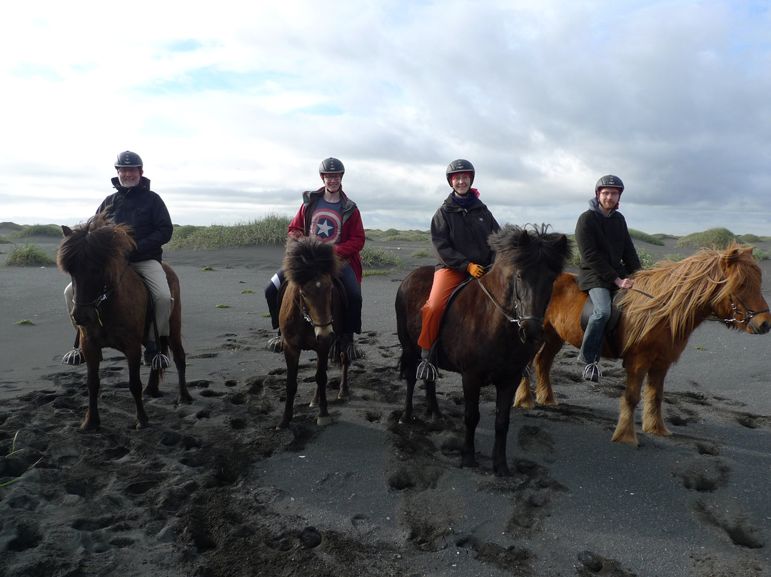 Horseridingtours.is-霍尔斯沃德吕尔镇必去景点