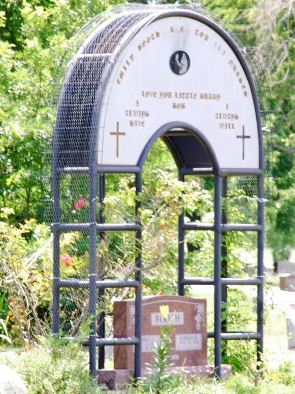 Pecan Grove Memorial Cemetery-麦金尼必去景点