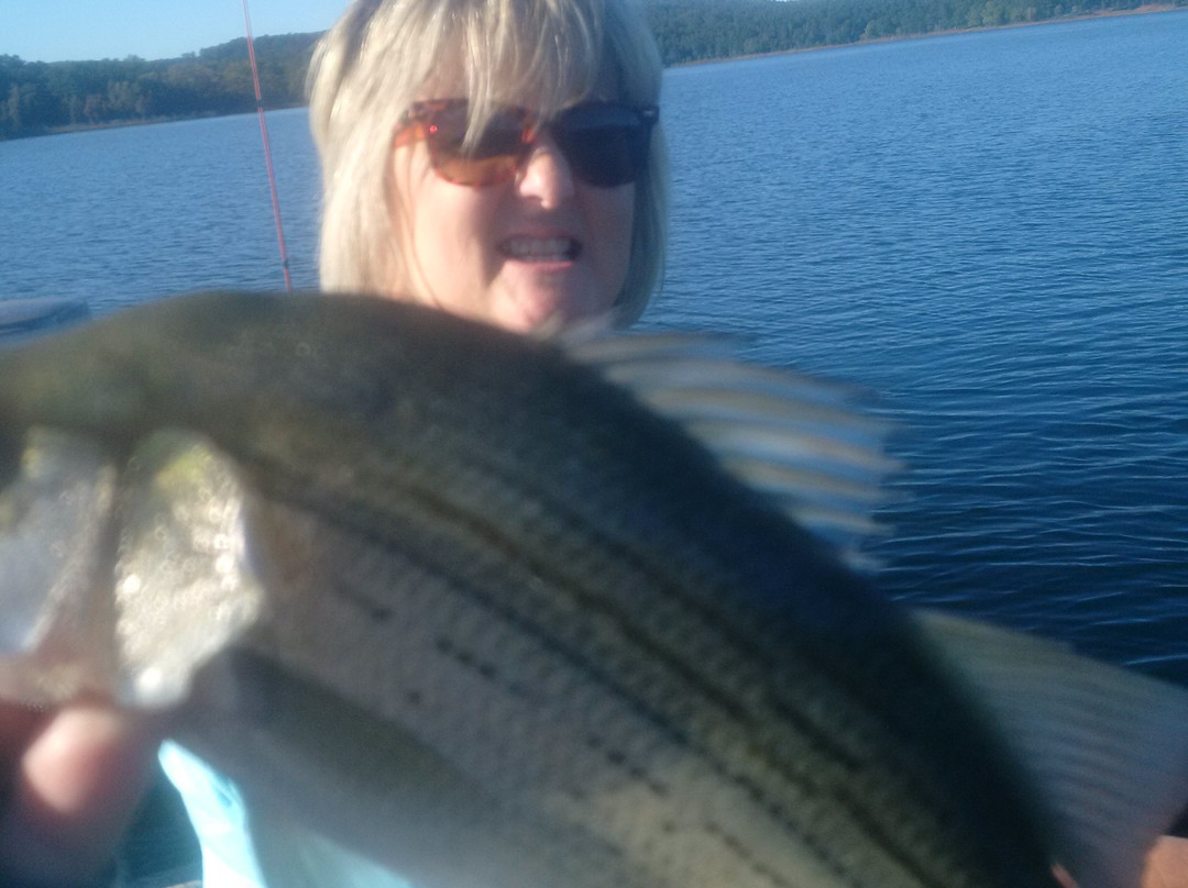 Tommy Cauley: Fishing Guide Service Greers Ferry Lake景点图片