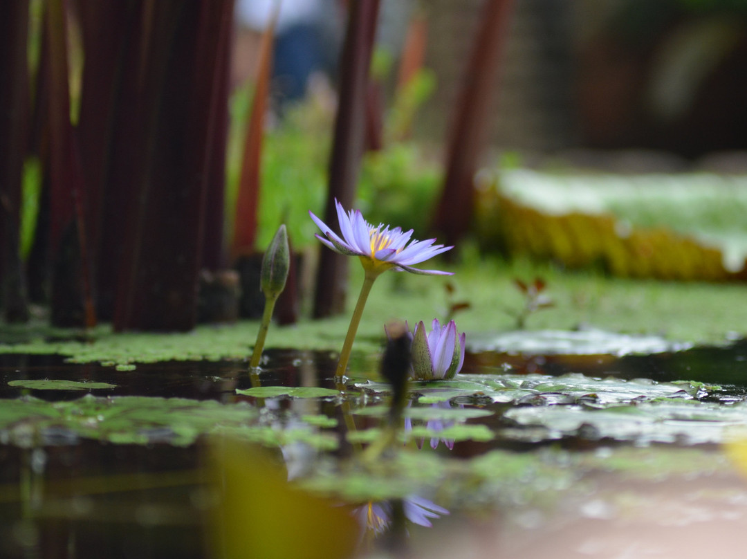 Jardin Exótico Kamala-佩雷拉必去景点