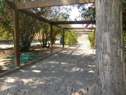 Casa Hidalgo. Museo Francia Chiquita-San Felipe必去景点