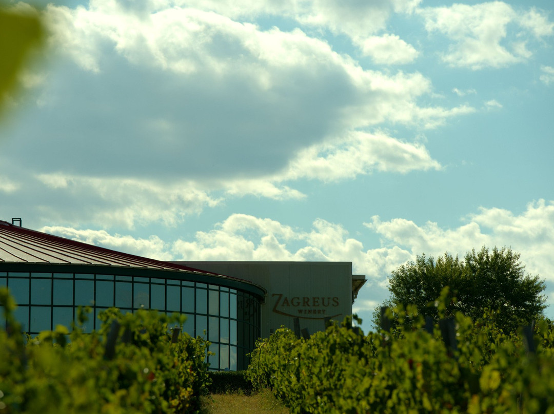 Zagreus Winery景点图片