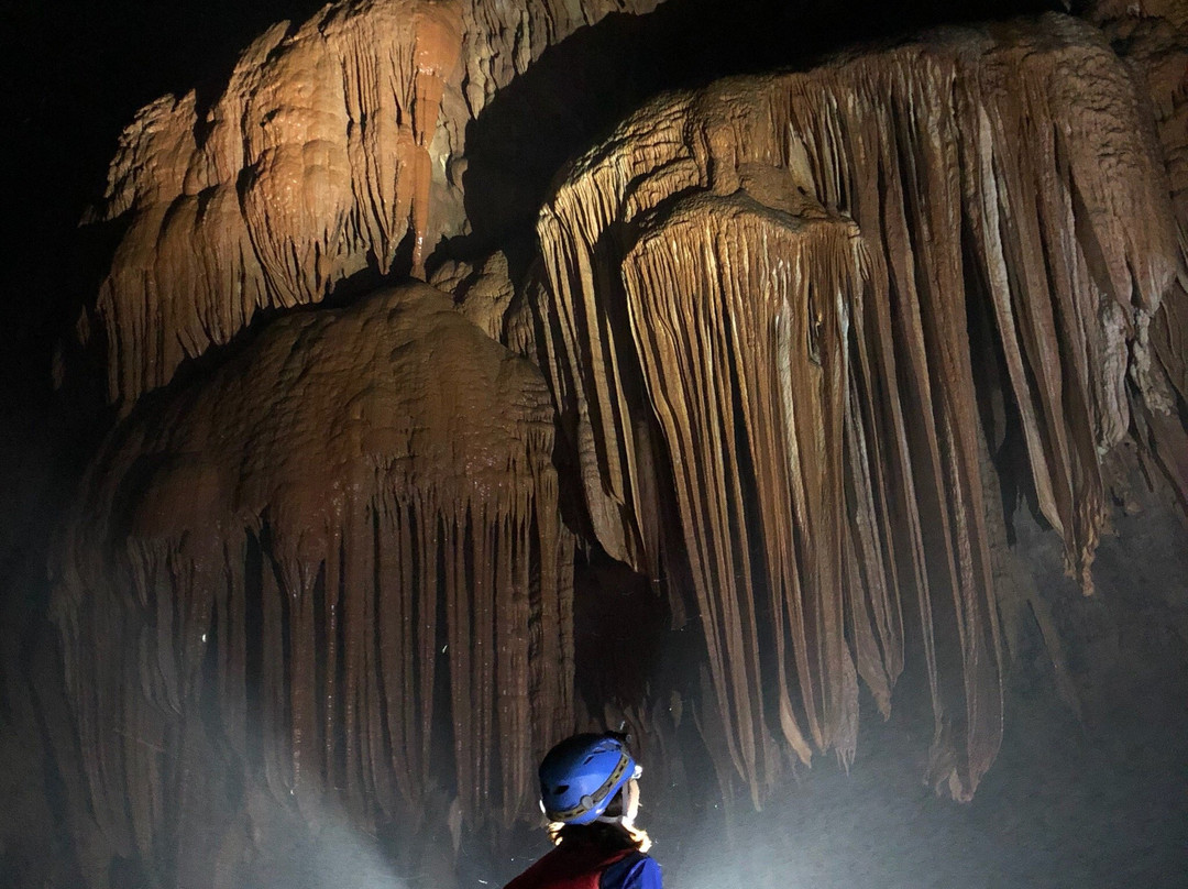 Phong Nha - Ke Bang Tourism Day Tours景点图片