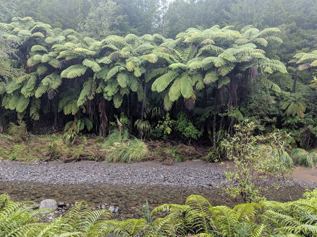 Waitawheta Tramway-陶兰加必去景点