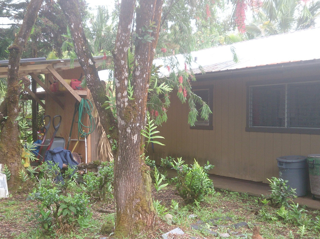 Hale Hale Hostel