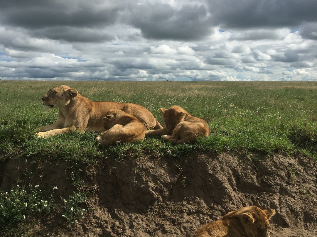 Bencia Africa-恩戈罗恩戈罗保护区必去景点