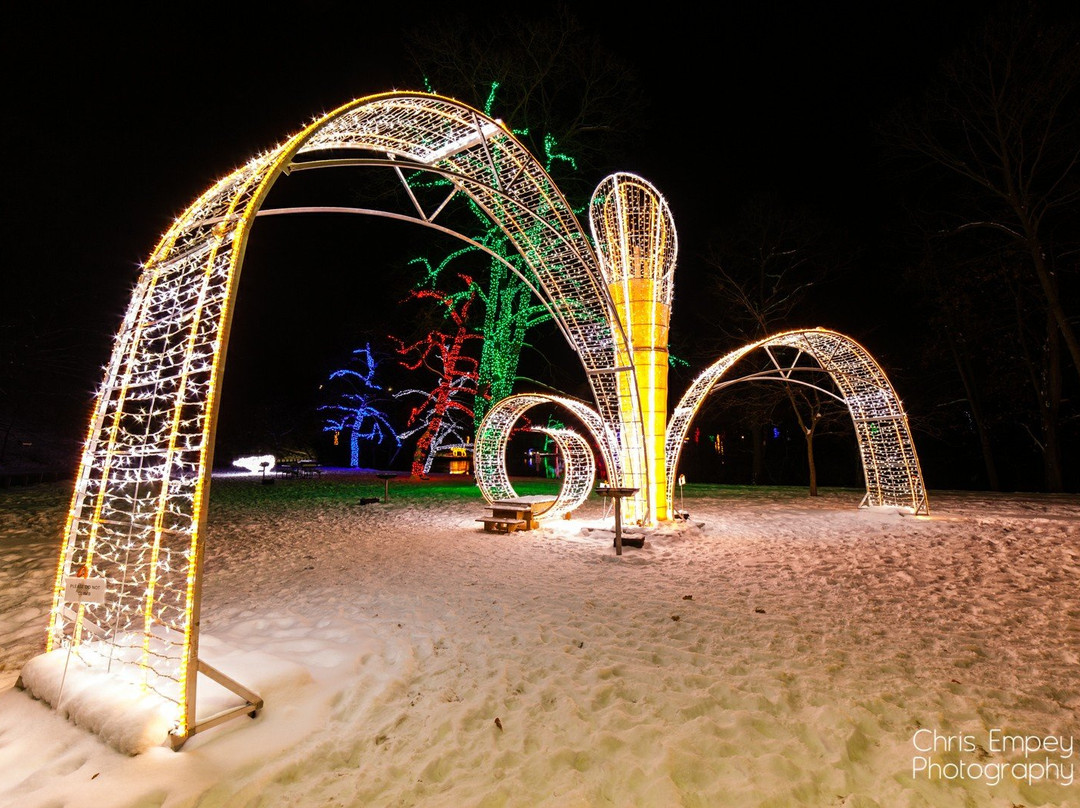 Winter Festival of Lights景点图片