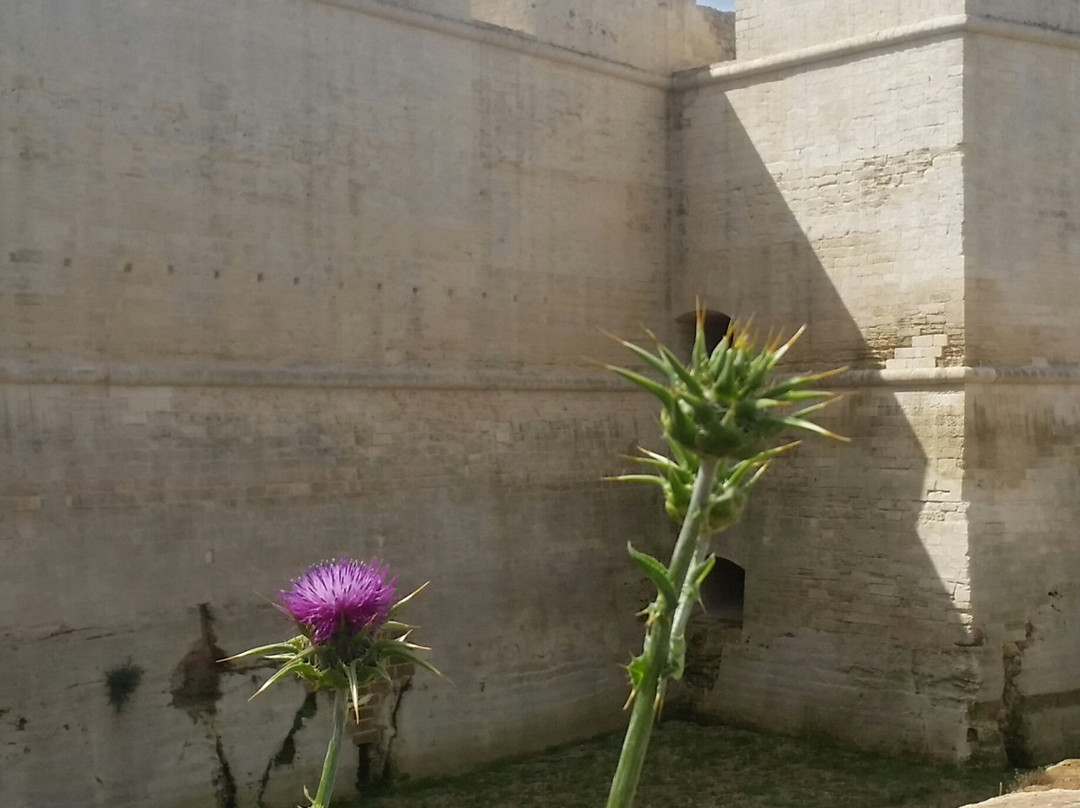 Conca Specchiulla旅游景点-Mura Urbiche di Lecce
