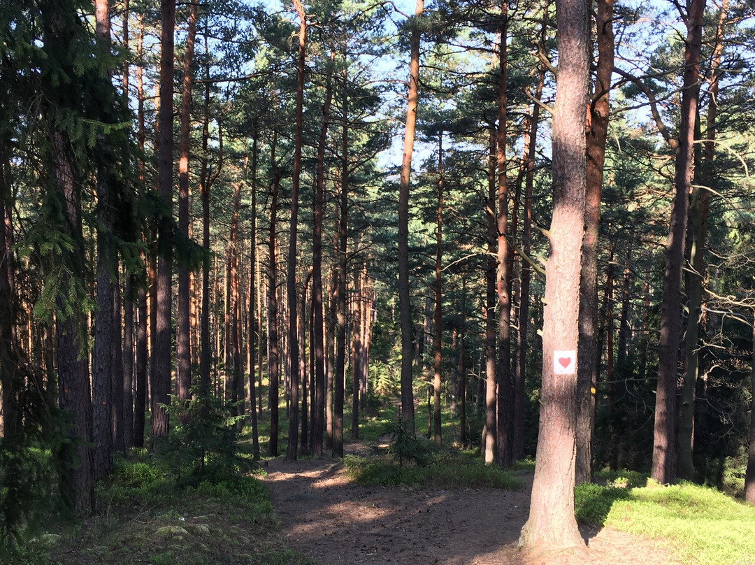 Municipal Tourist Trail景点图片