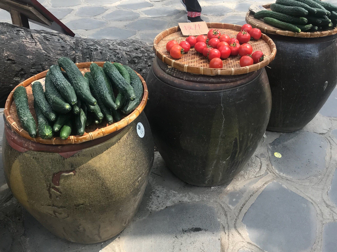 椰田黎苗风情村景点图片