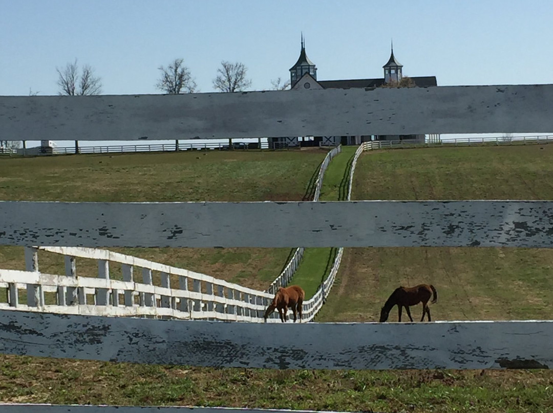 Kentucky Scenic Byway-列克星敦必去景点