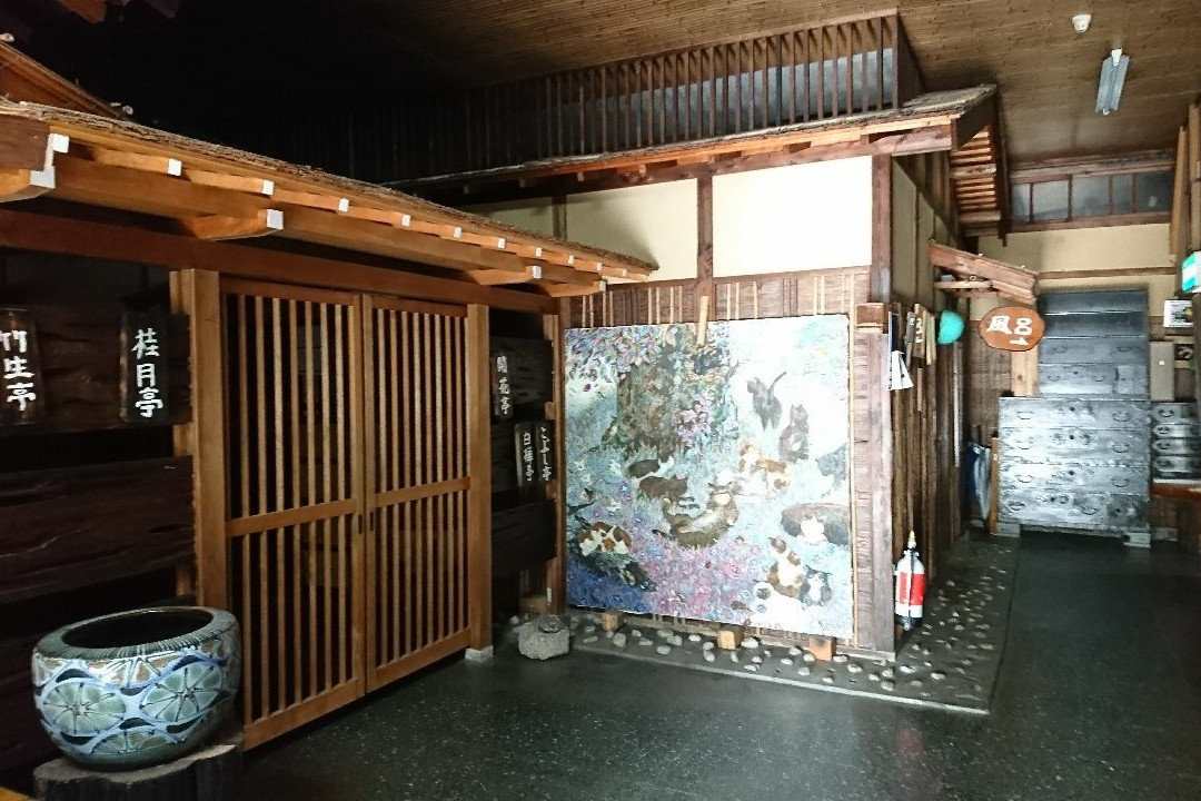 Ena Radium Onsenkan主图
