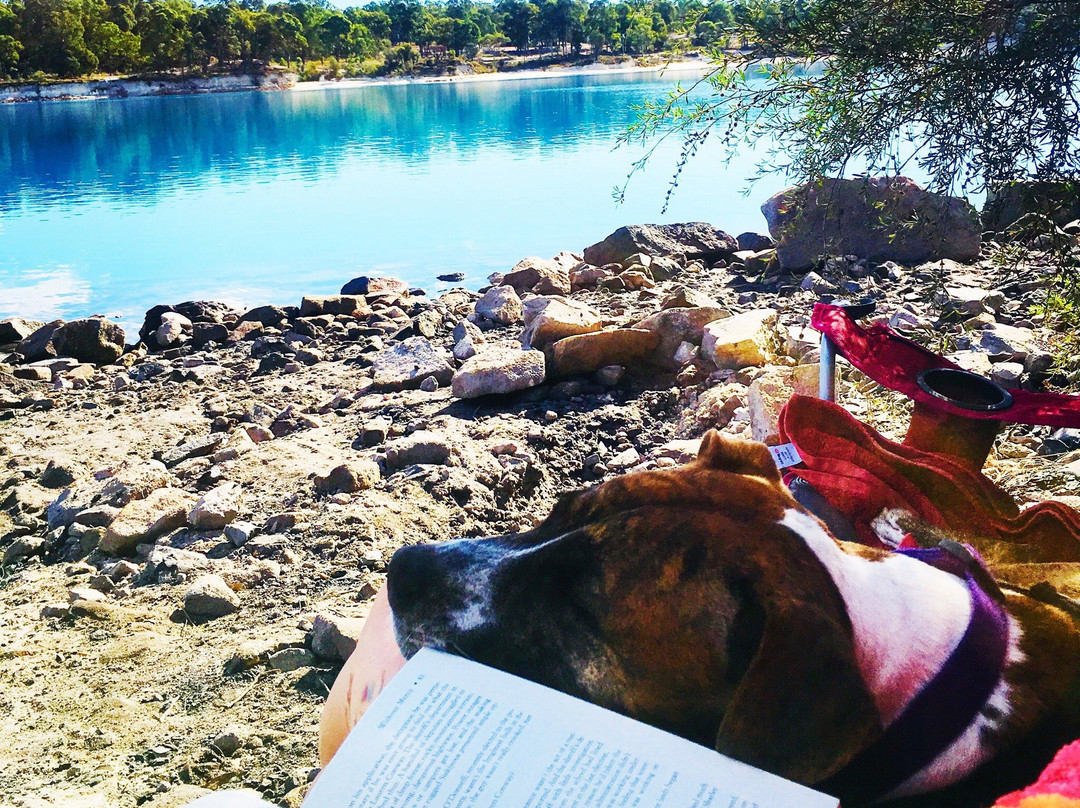 Stockton Lake-Collie必去景点