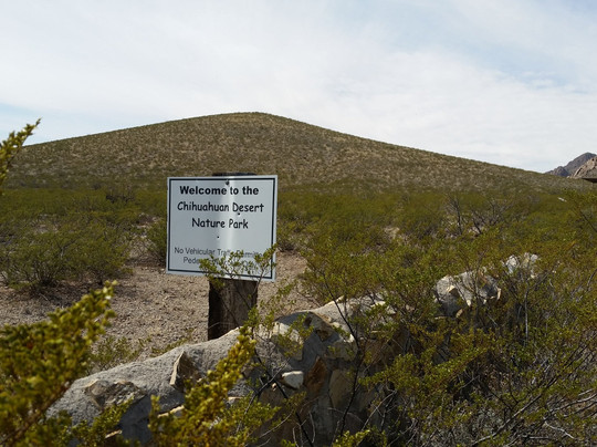 Chihuahuan Desert Nature Park-拉斯克鲁塞斯必去景点