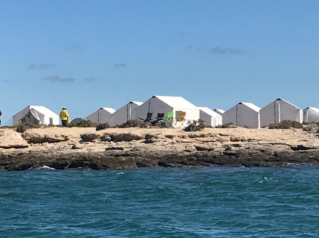 Baja Discovery-San Ignacio必去景点