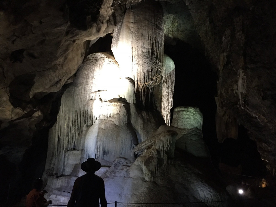 Wellington旅游攻略图片