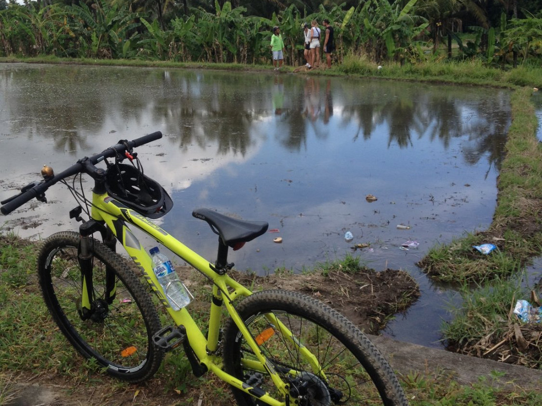 Omah Lembu Cycling Tour景点图片