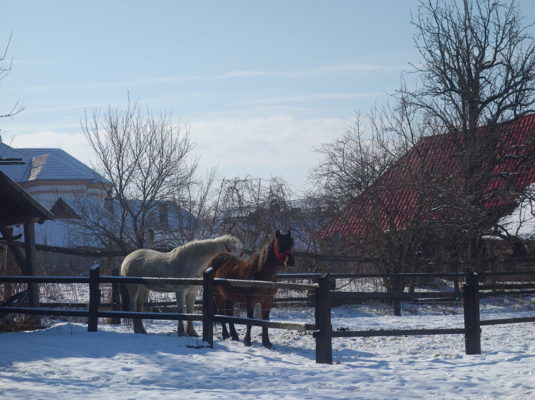 Count Kalnoky's Guesthouses主图
