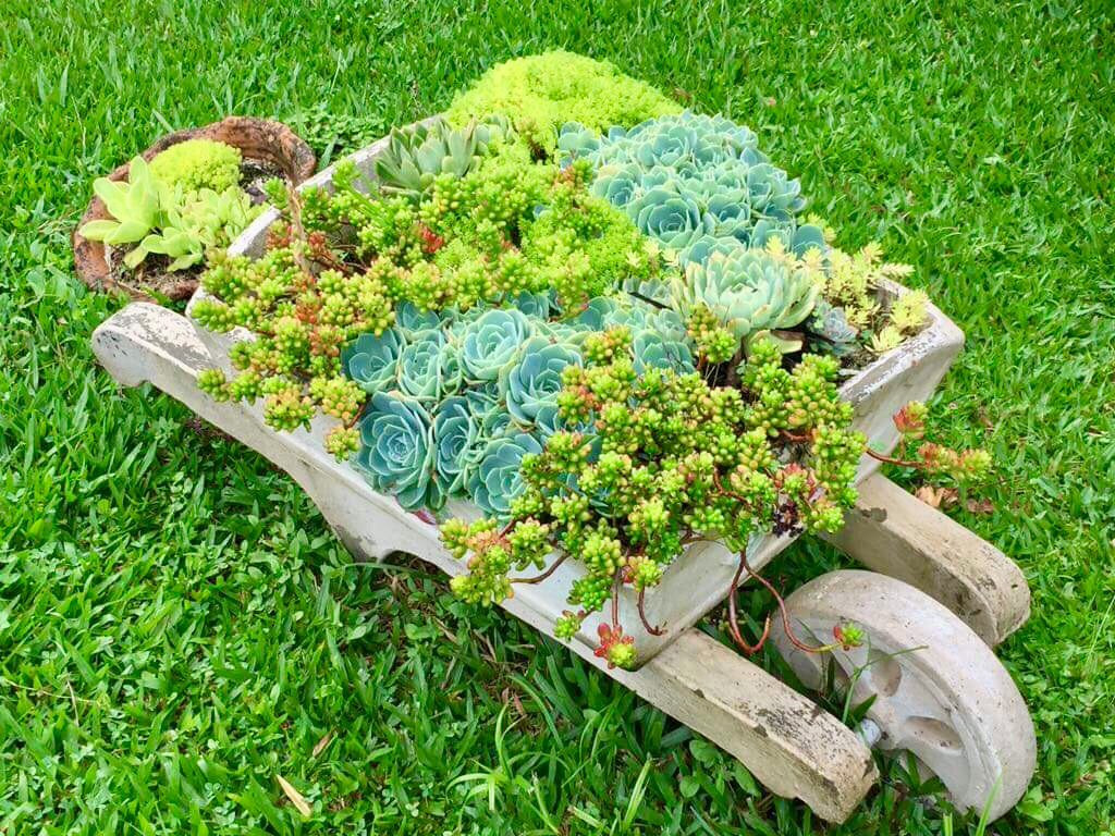 Hotel Village da Serra主图