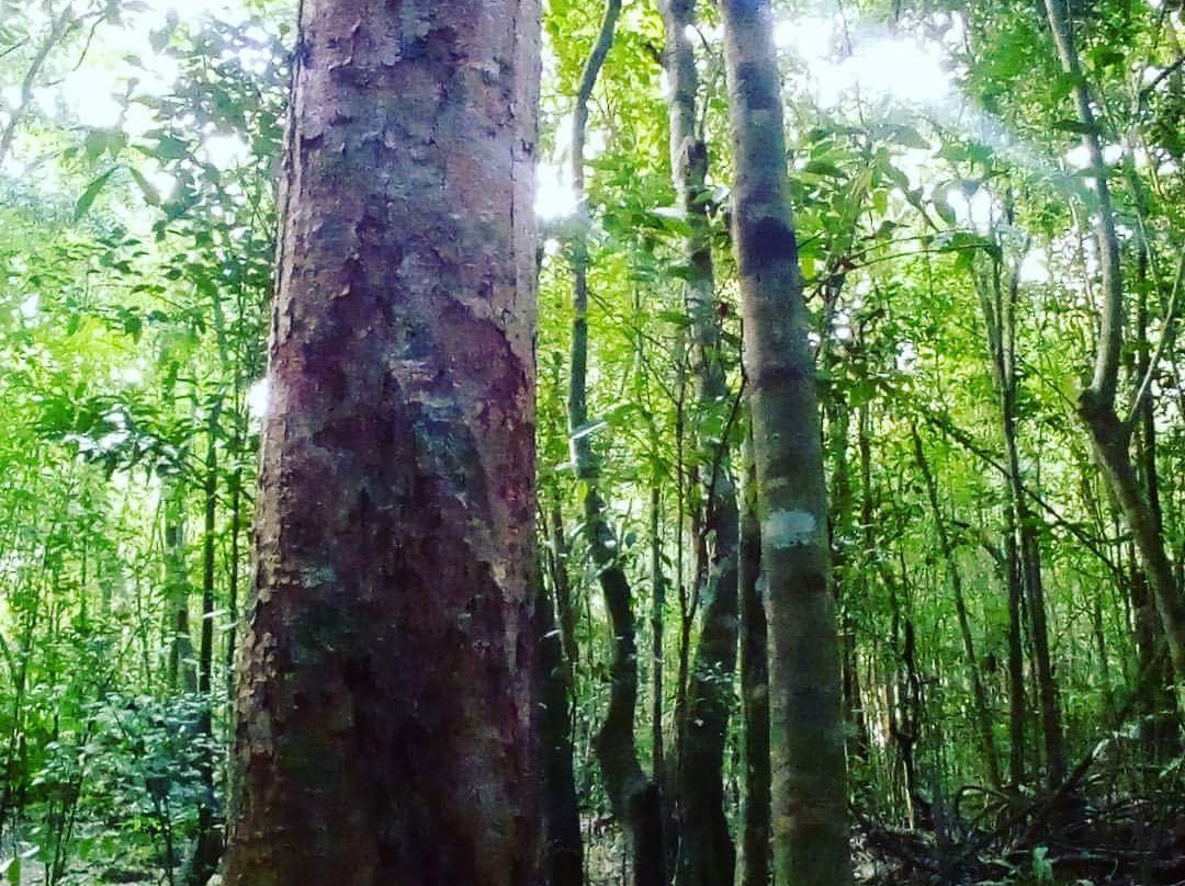 Espacio Natura-图伦必去景点