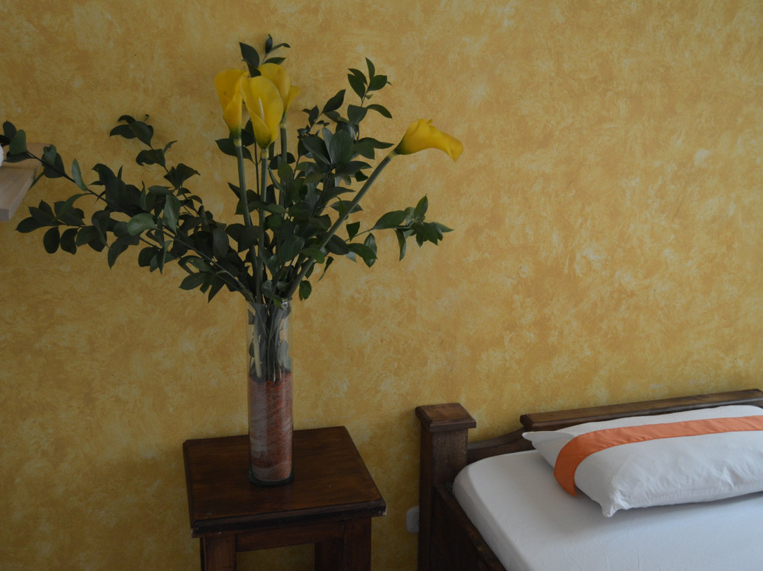 Hotel Las Araucarias主图