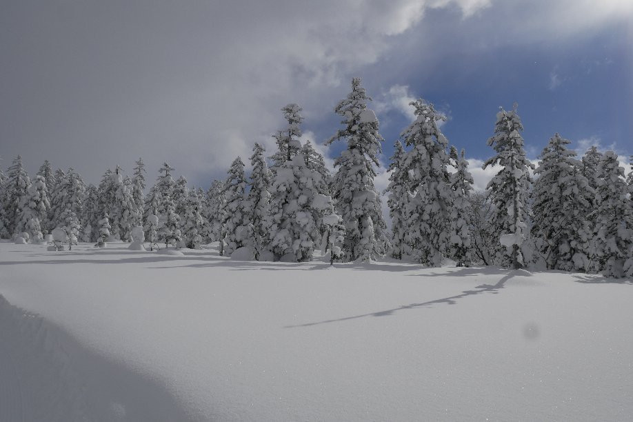Furano Snow Tours-中富良野町必去景点