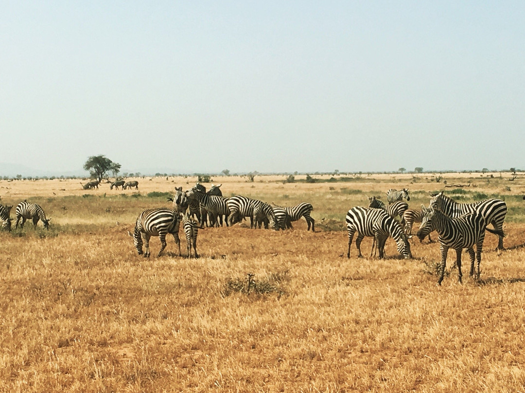 KenyaExpeditionLTD-蒙巴萨必去景点