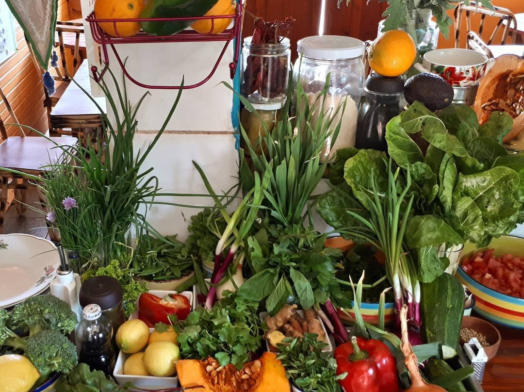 Valle Las Trancas餐馆和美食-Zamba I Canuta