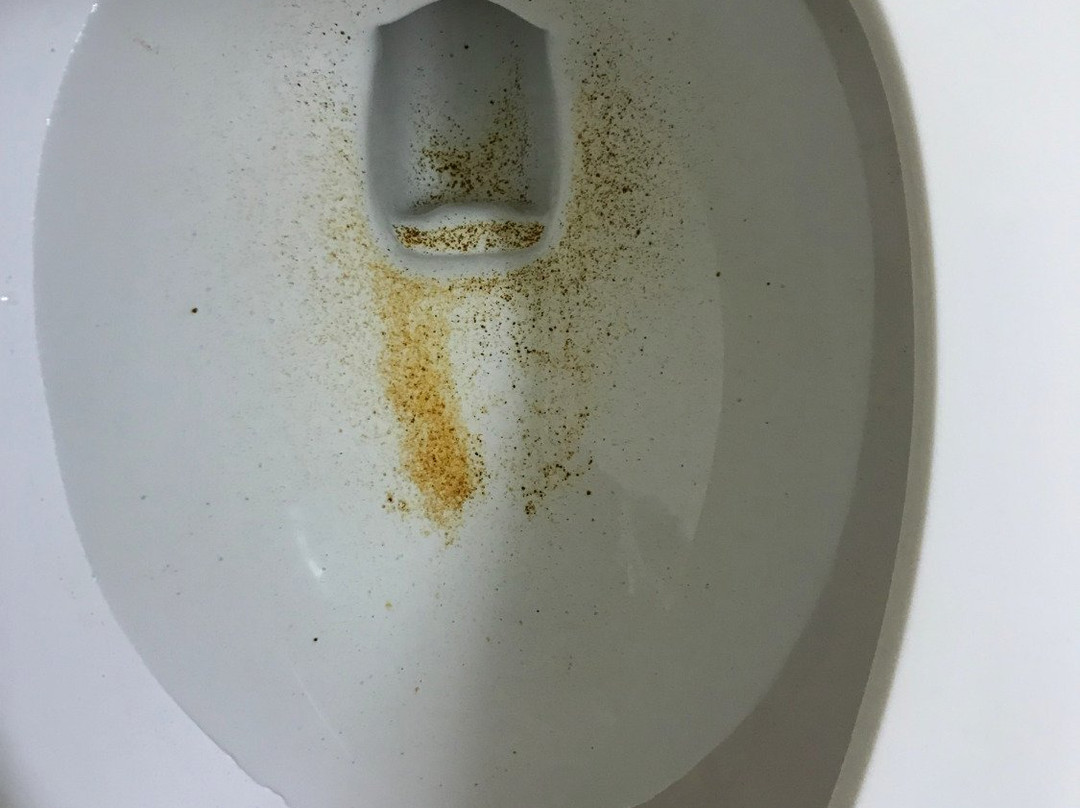 Extended Stay America - Washington, D.C. - Rockville主图