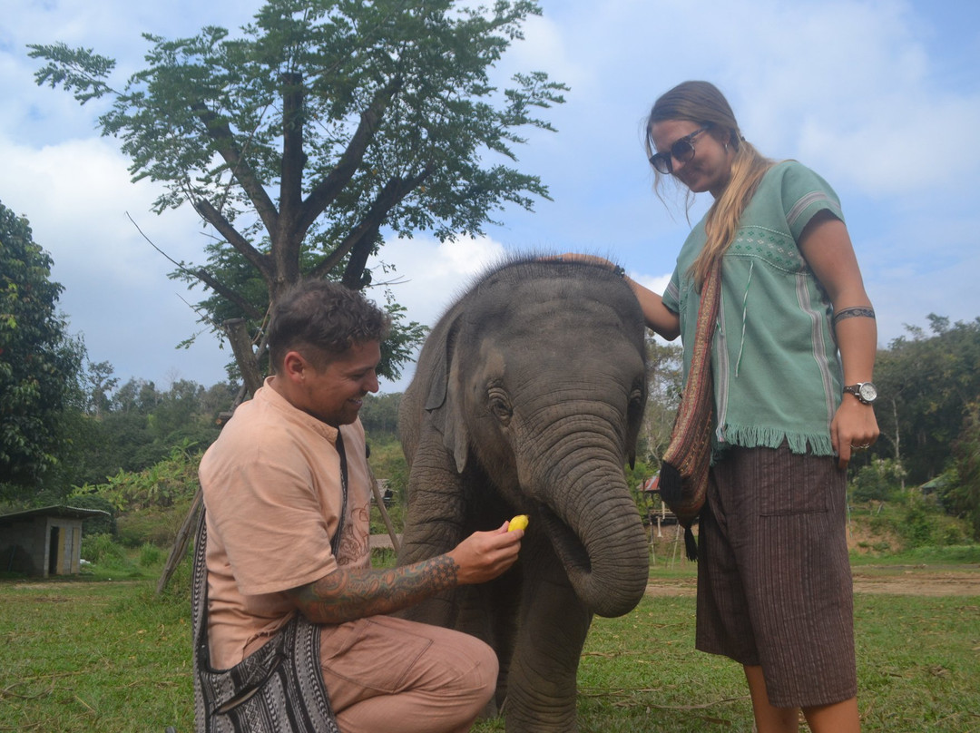 Maeklang Elephant Conservation Community景点图片