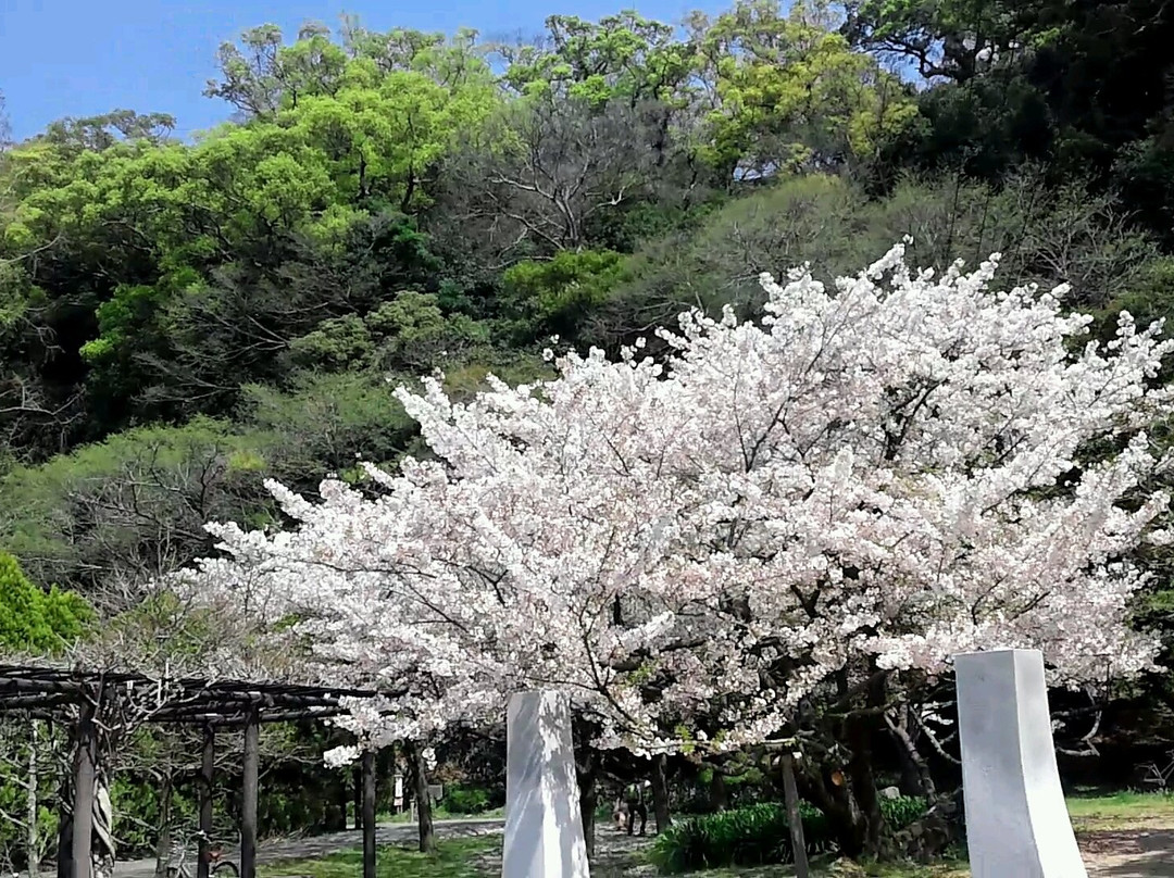 Tokushima Chuo Park-德岛市必去景点