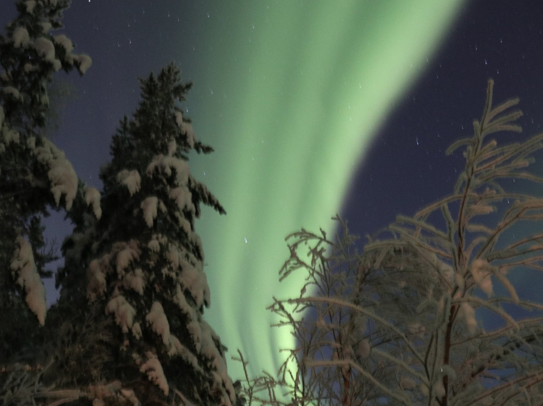 Northern Lights Riders景点图片