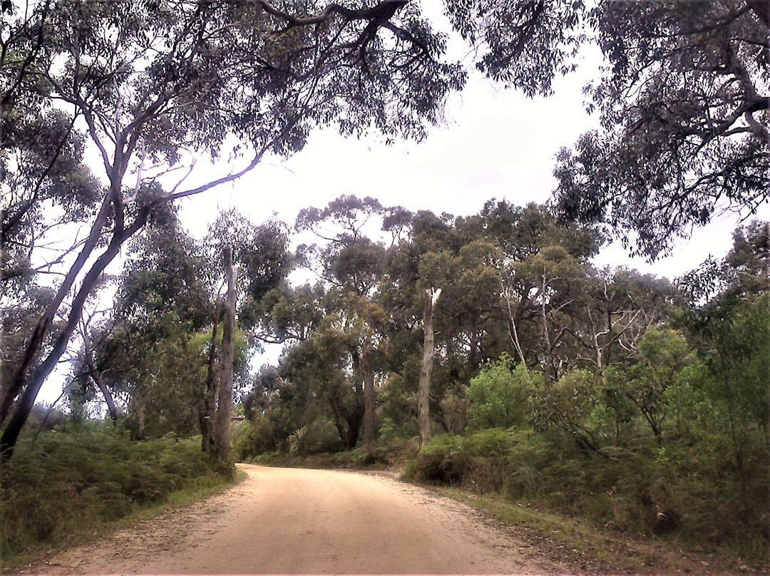 Coogoorah Park Nature Reserve-安格尔西岛必去景点