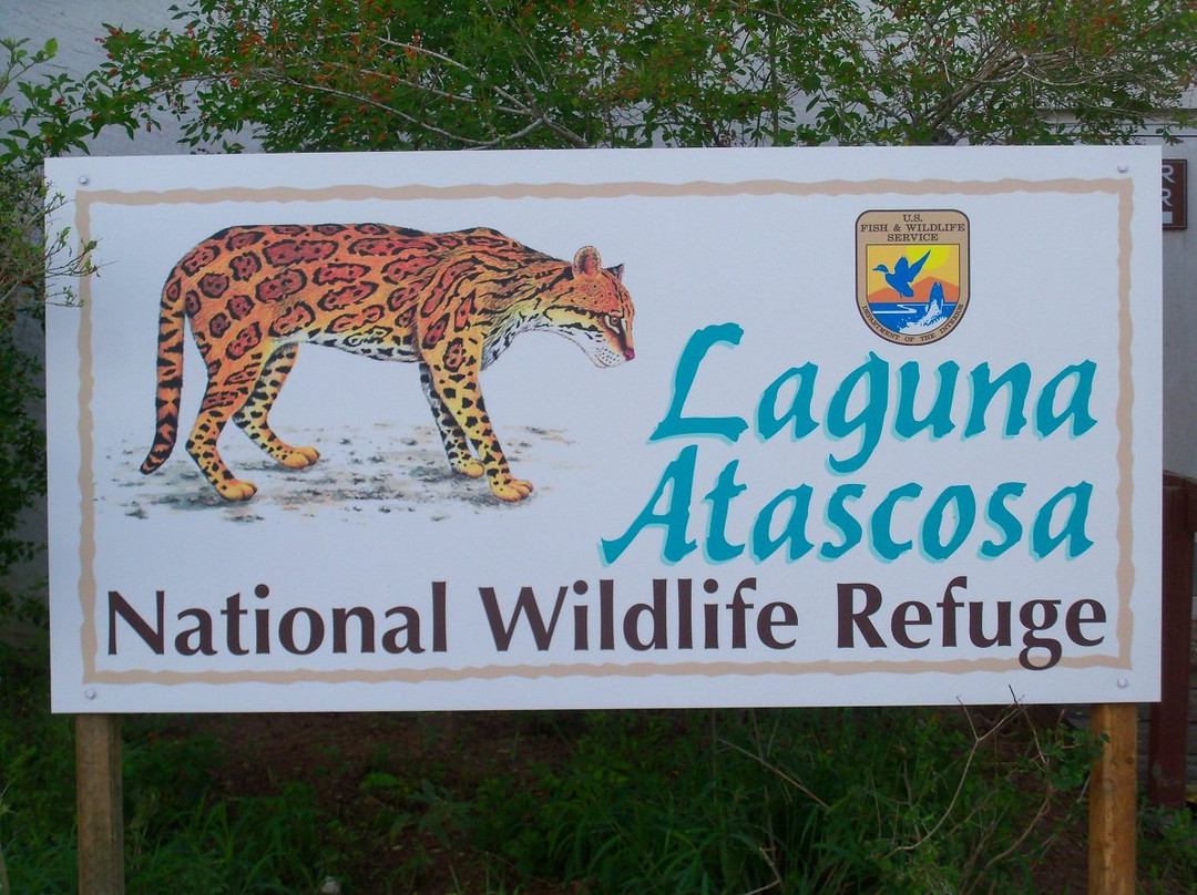 Laguna Atascosa National Wildlife Refuge-德克萨斯州墨西哥湾沿岸必去景点