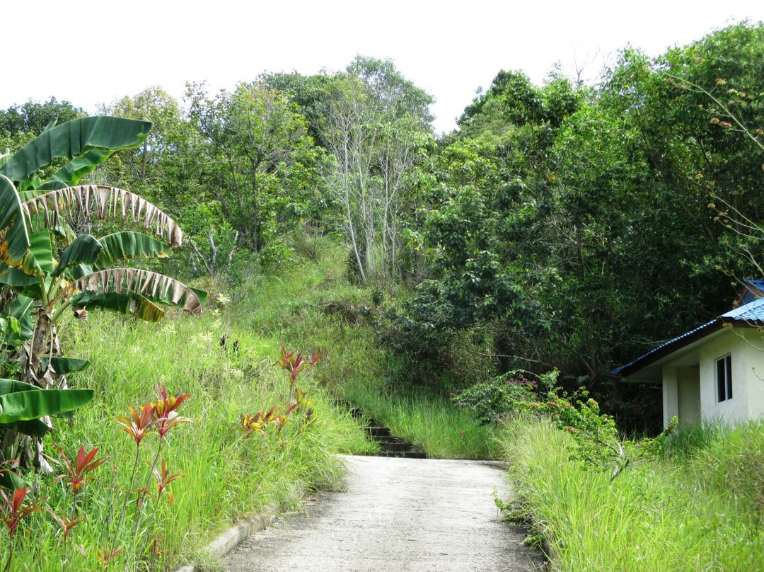 Bukit Tempayan Pisang-斯里巴加湾必去景点