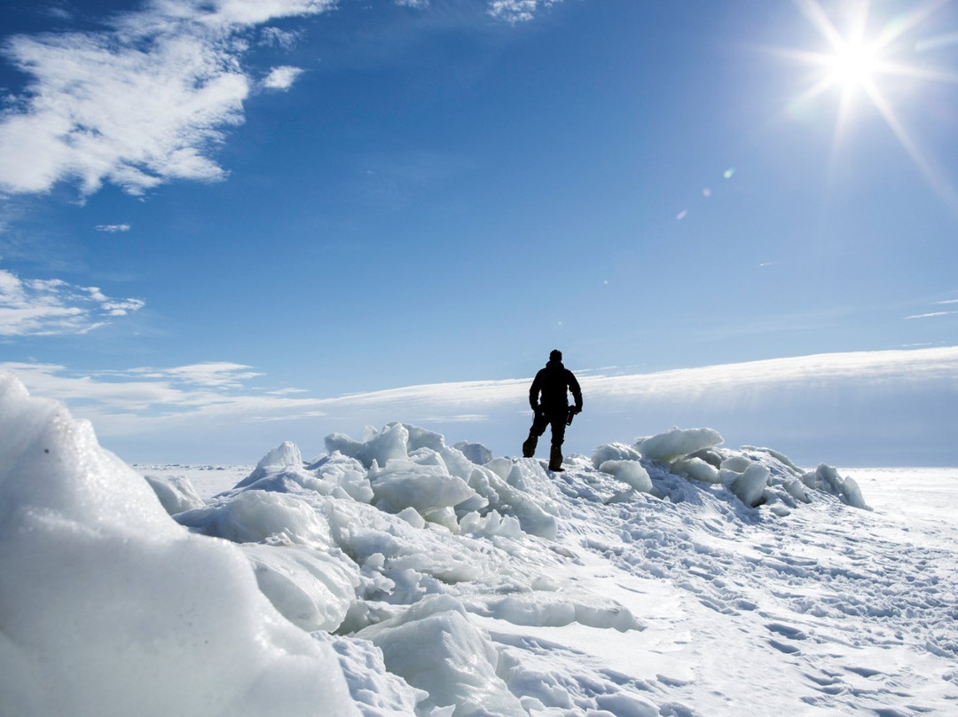 Sea Ice Snow-mobiling景点图片