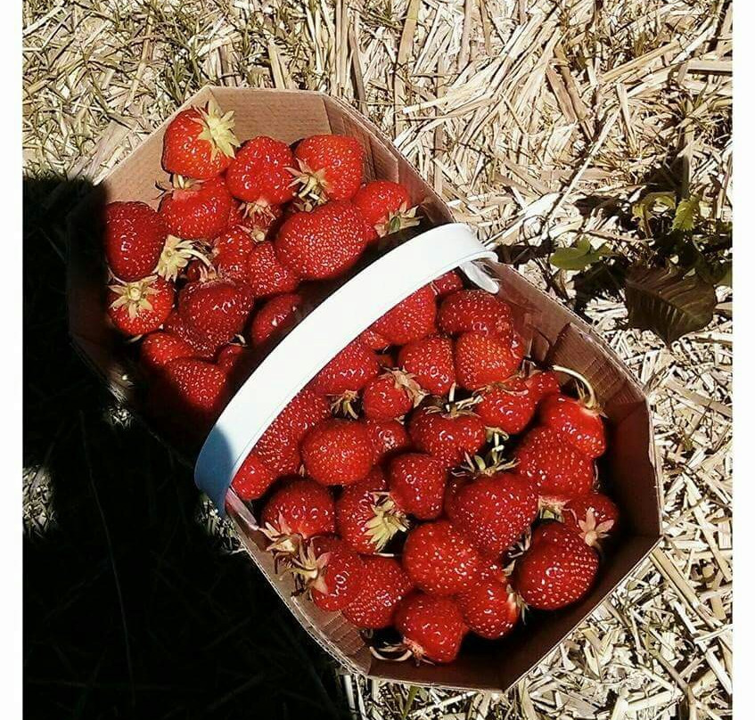 La Fille du Roy-Sainte-Madeleine必去景点