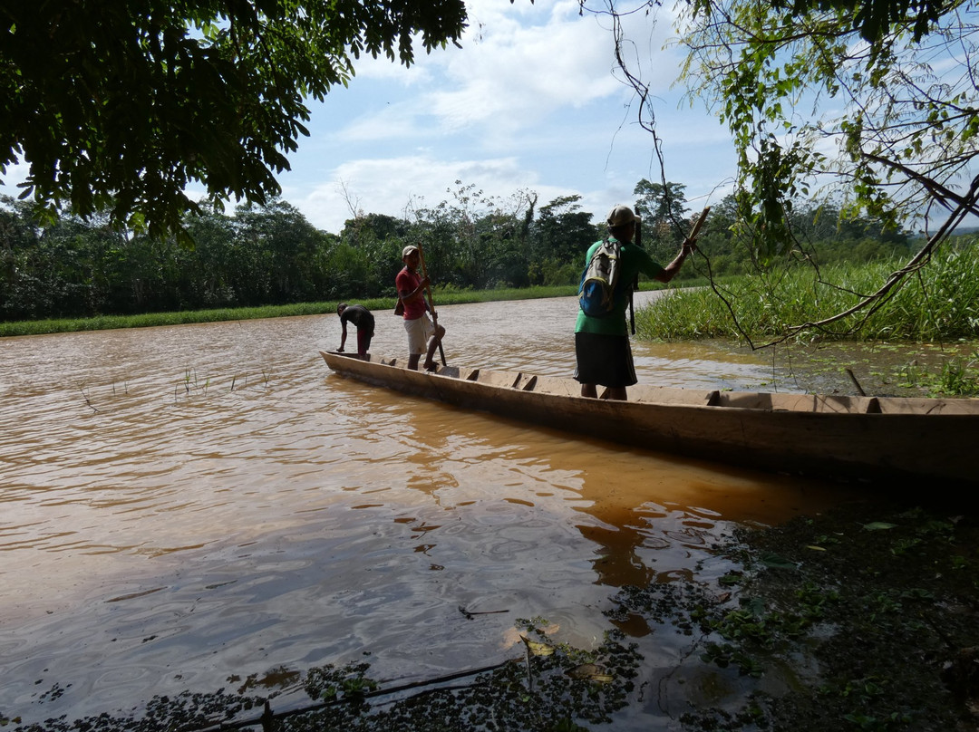 Reserva de Biosfera y Tierra Comunitaria de Origen Pilón Lajas-Beni Department必去景点
